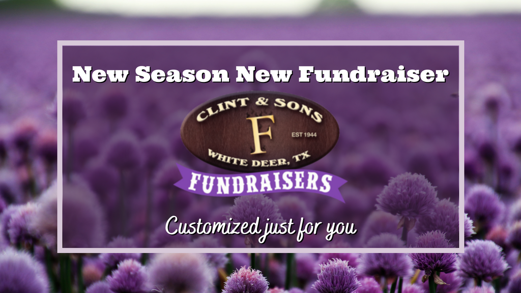 Custom Fundraising