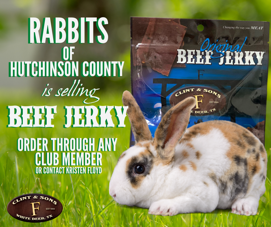 Rabbits of Hutchinson County